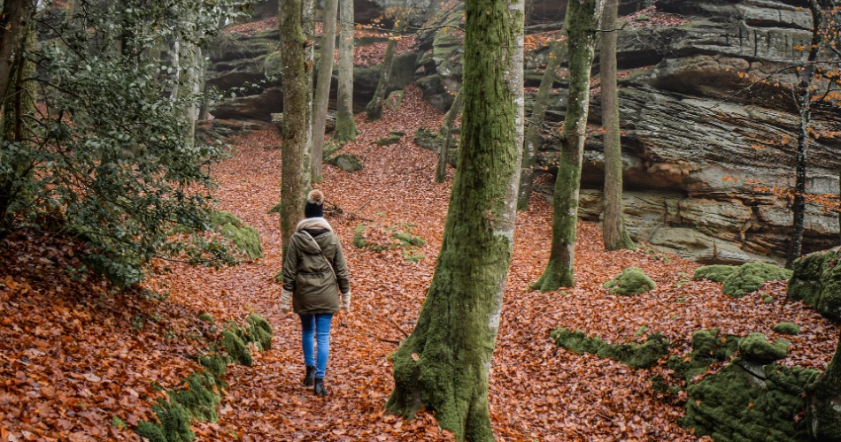 10 Unmissable Things to Do in Huntington Beach