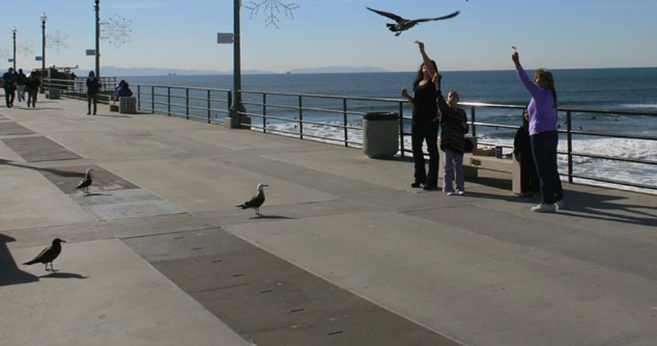 10 Unmissable Things to Do in Huntington Beach